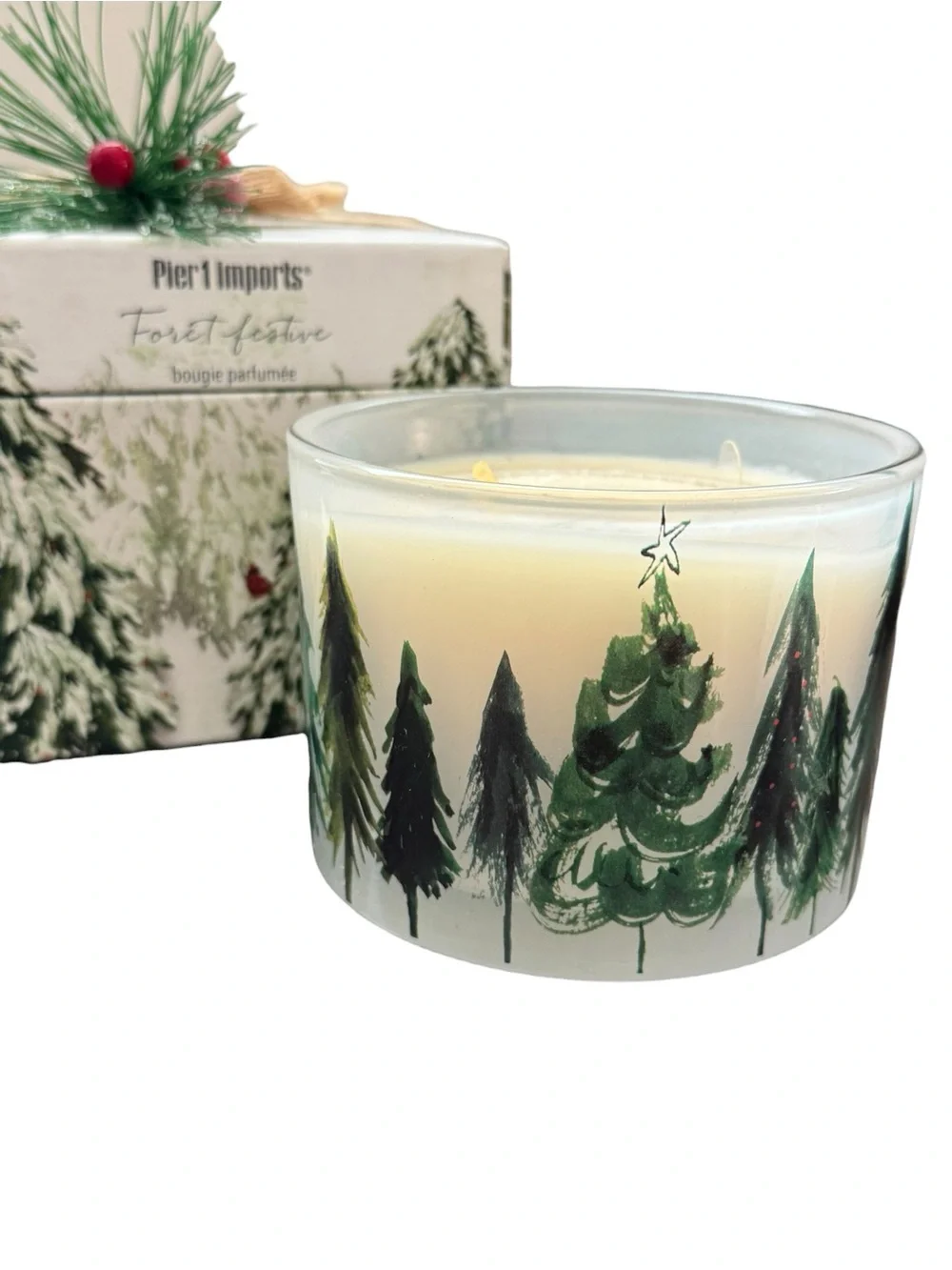 Pier 1 Imports Holiday Forest 2 Wick Scented Christmas Candle 11oz NEW In Box
